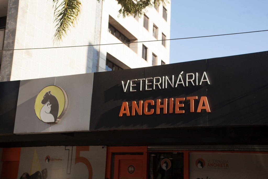 Imagem ilustrativa de Clínica veterinária perto de mim em Belo horizonte