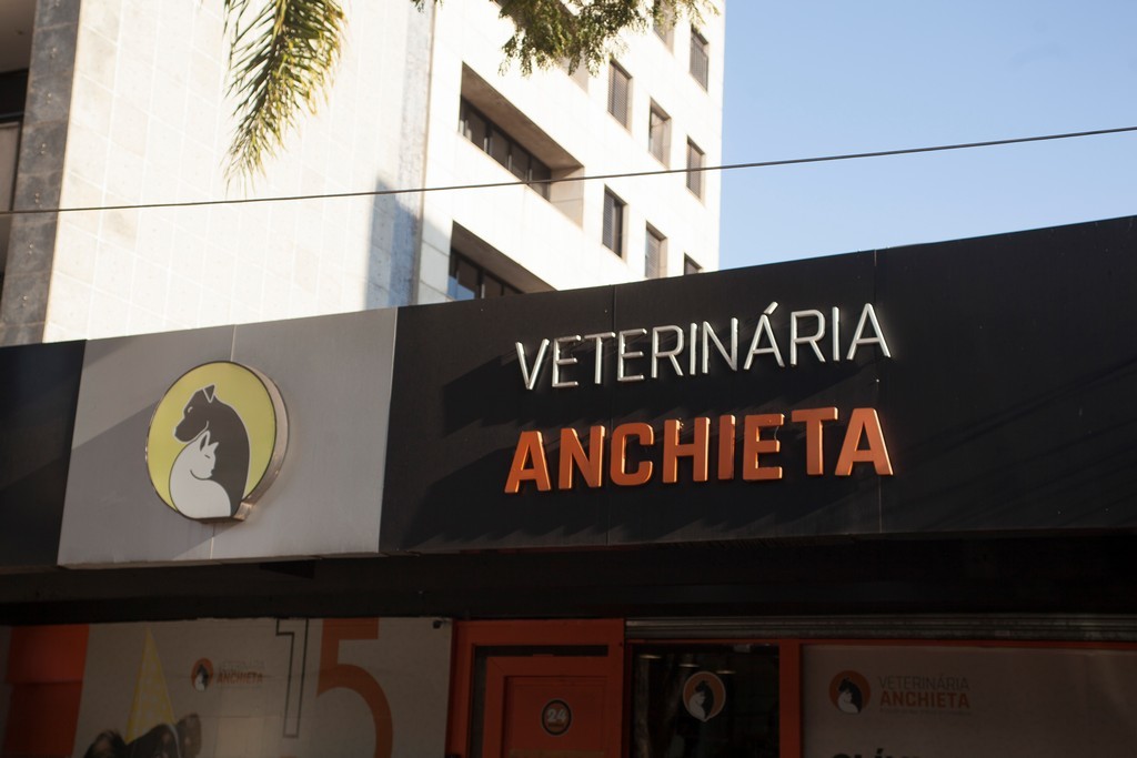 Imagem ilustrativa de Oftalmo veterinario em Belo horizonte